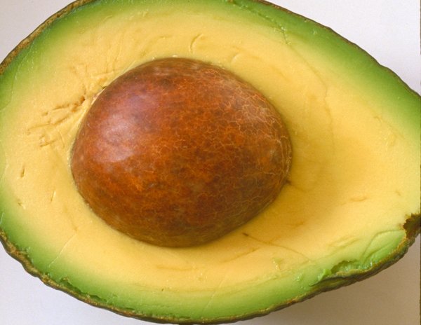 Avocado, in cross-section