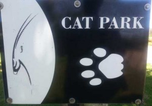 Cat park sign