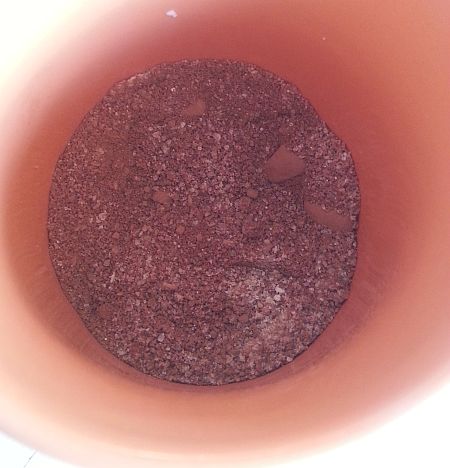 Dry ingredients in the cup