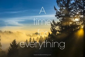 A time for everything